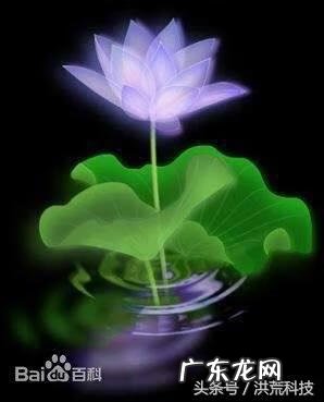 重生遮天我为皇 遮天之我若为皇