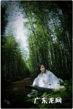 梦女和梦三是什么意思 梦三生