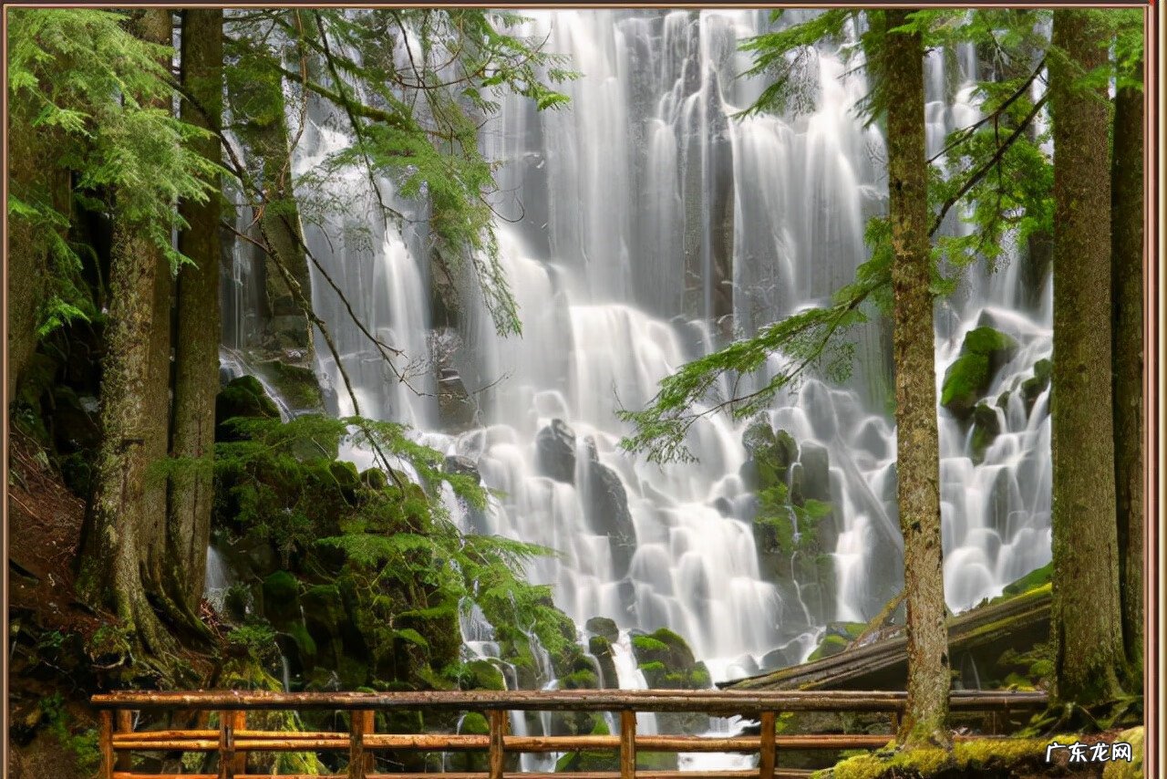 梦女和梦三是什么意思 梦三生