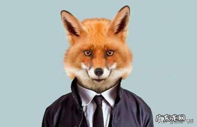 衣冠禽兽是啥意思,衣冠禽兽本意是什么意思