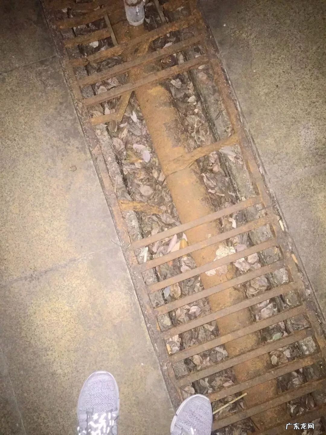 屋前水池位置禁忌 请勿在水池倒杂物