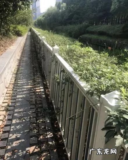 屋前水池位置禁忌 请勿在水池倒杂物