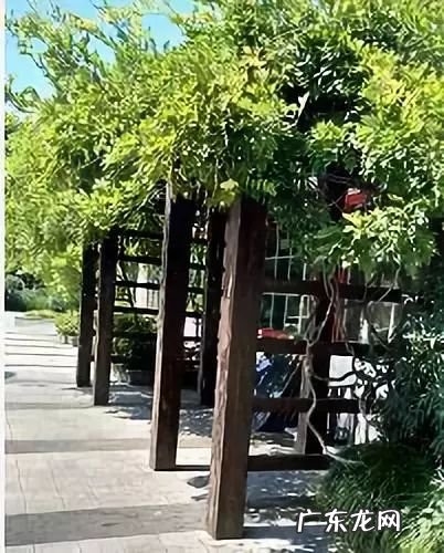 屋前水池位置禁忌 请勿在水池倒杂物