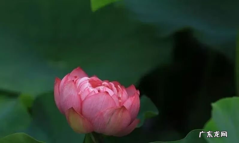 崇州有啥子好耍的 崇州风水大师