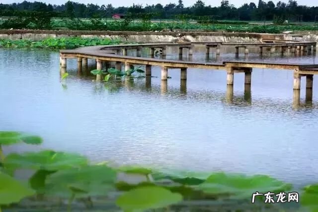 崇州有啥子好耍的 崇州风水大师
