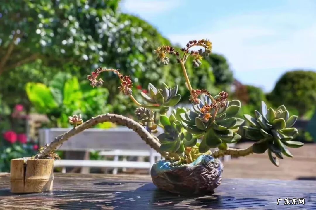 崇州有啥子好耍的 崇州风水大师