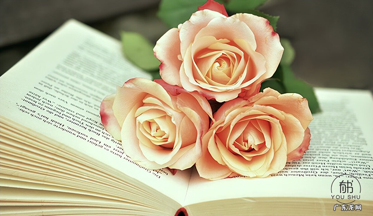 风水改名字有转运的吗 改名字风水变成学霸容易创业成功?