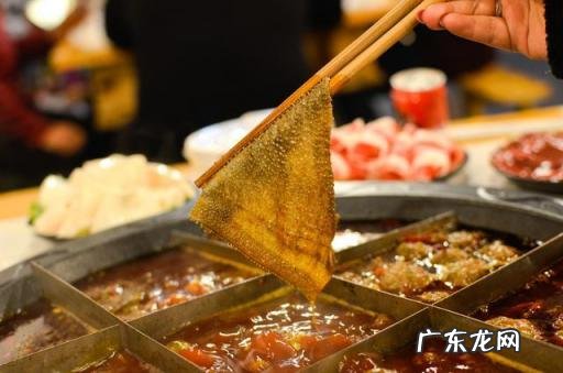 火锅中的毛肚是什么动物身上的,毛肚是什么动物