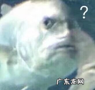 轩辕剑之天之痕谁是男主 轩辕剑三外传之天之痕