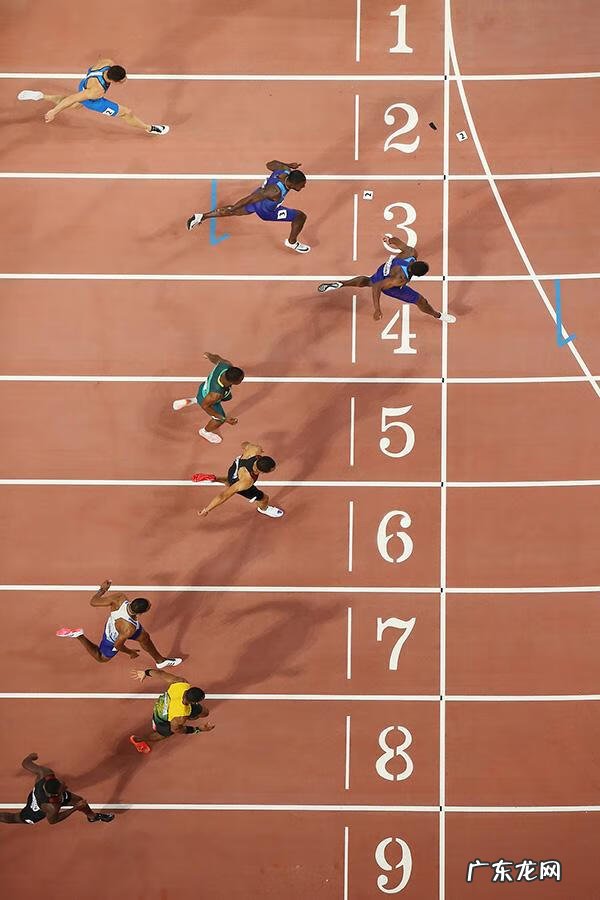 博尔特身体数据 博尔特的资料