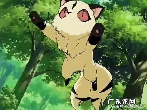 斗战神刷狸猫积分 斗战神狸猫刀卫哪里出