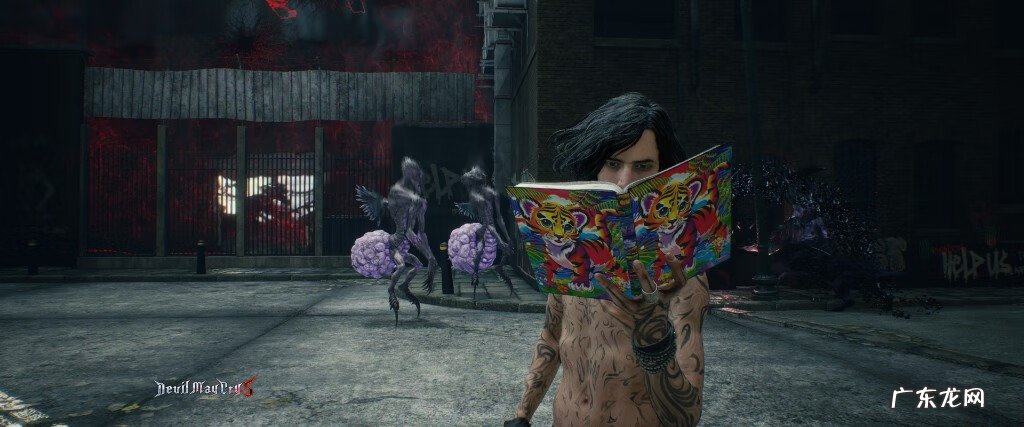 鬼泣5红魔石修改器 鬼泣5修改器怎么用啊