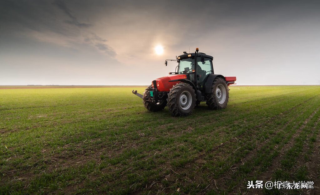 胱氨酸的作用及功能介绍 胱氨酸的作用与功效