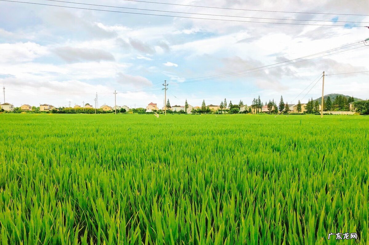 胱氨酸的作用及功能介绍 胱氨酸的作用与功效