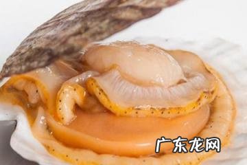 女人吃扇贝的营养价值及功效,吃扇贝有什么功效
