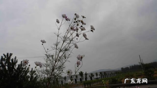 放飞心情什么意思 放飞心灵的意思