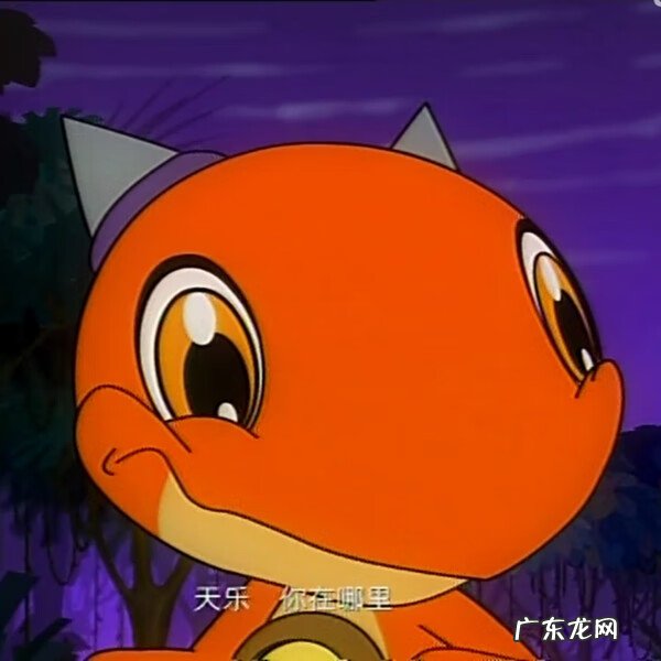 斗龙战士之星龙圣域破解版 斗龙战士之星龙圣域小说