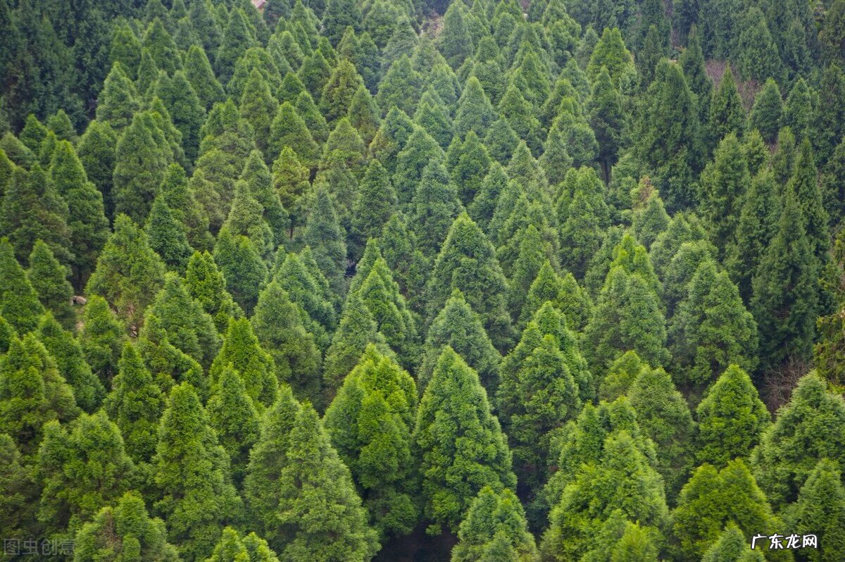 农村窑洞风水 坟上有两个窑洞风水