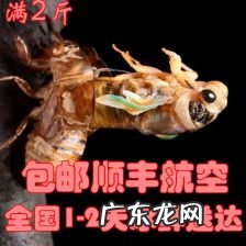 炸知了怎么炸 炸知了多长时间能熟