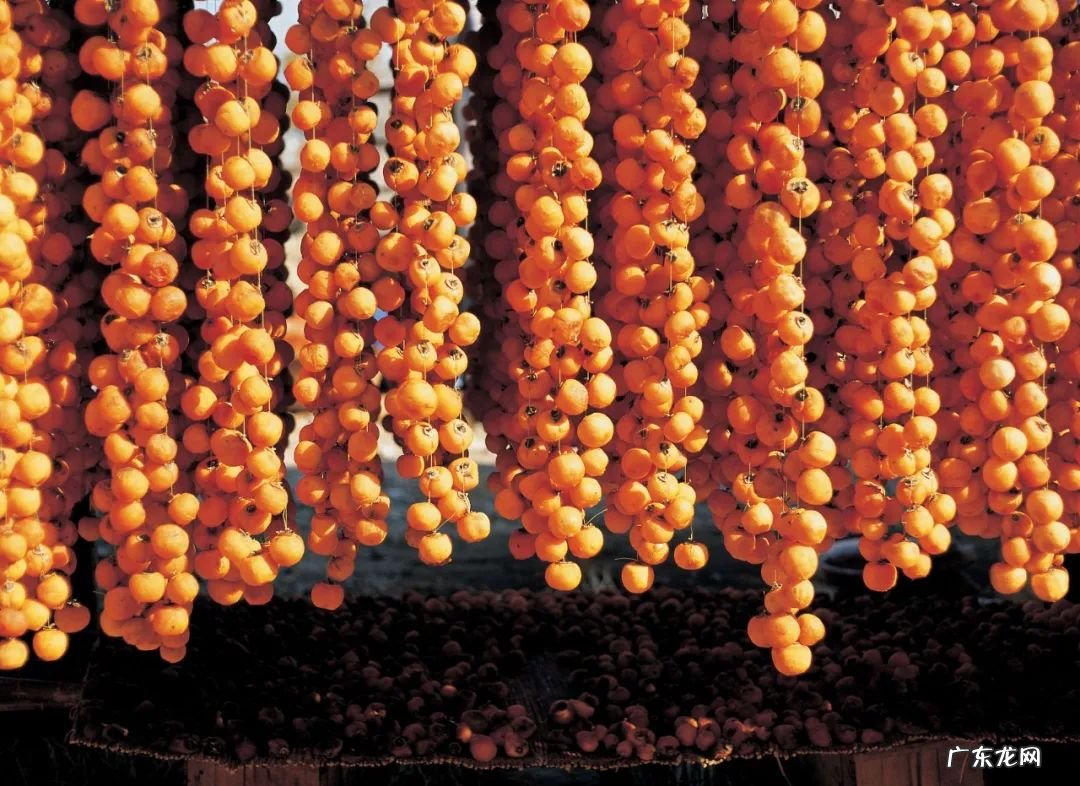 怀孕爱吃柿子怎么回事 孕妇吃柿子好么