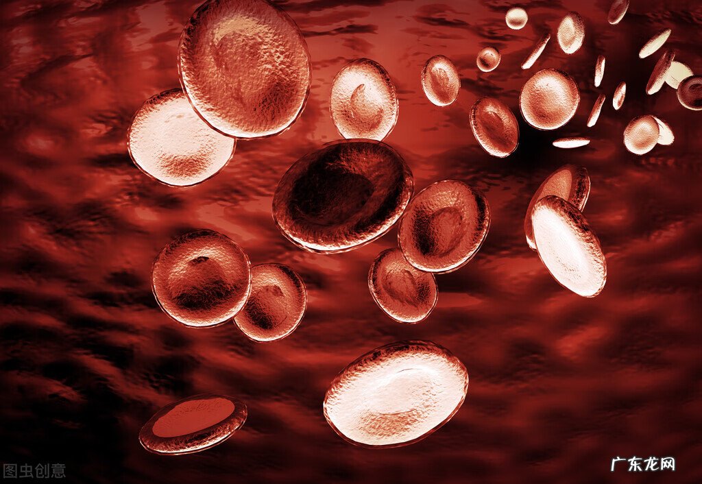 灵芝的功效与主治 灵芝的功效与作用