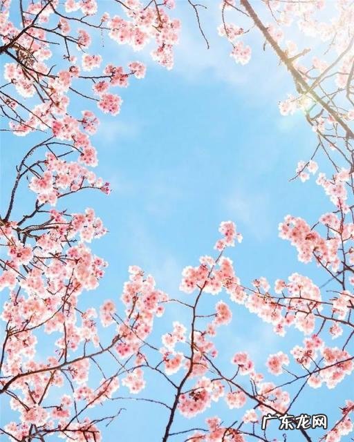 辍怎么读拼音怎么写啊,辍的拼音怎么写