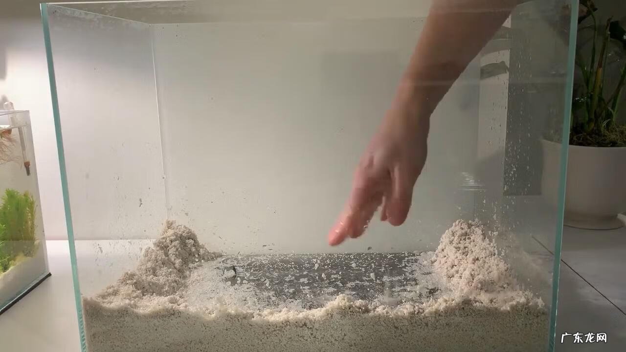 鱼缸造景 如何造景鱼缸