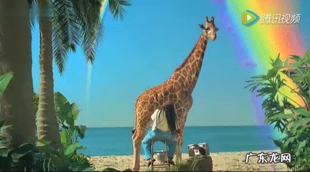 平面广告公司名称