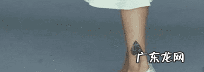 2015年国剧盛典 2015年国剧盛典完整版