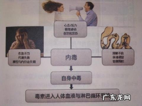 人体快乐物质是什么意思,人体内产生快乐的物质叫什么