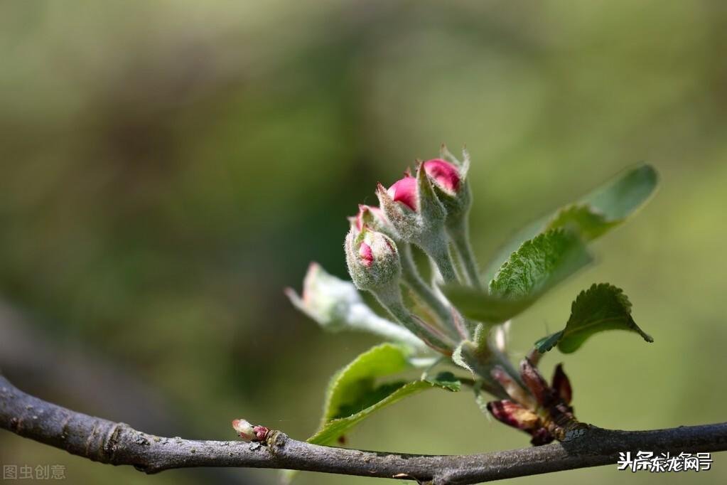 “中华千古第一完人”曾国藩:10句话,赢天下