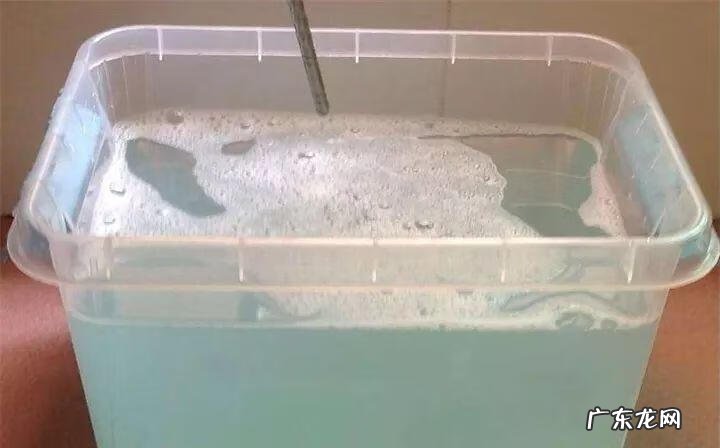 制作泡泡龙 最强蜗牛泡泡龙