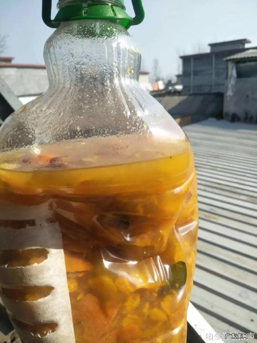 制作泡泡龙 最强蜗牛泡泡龙