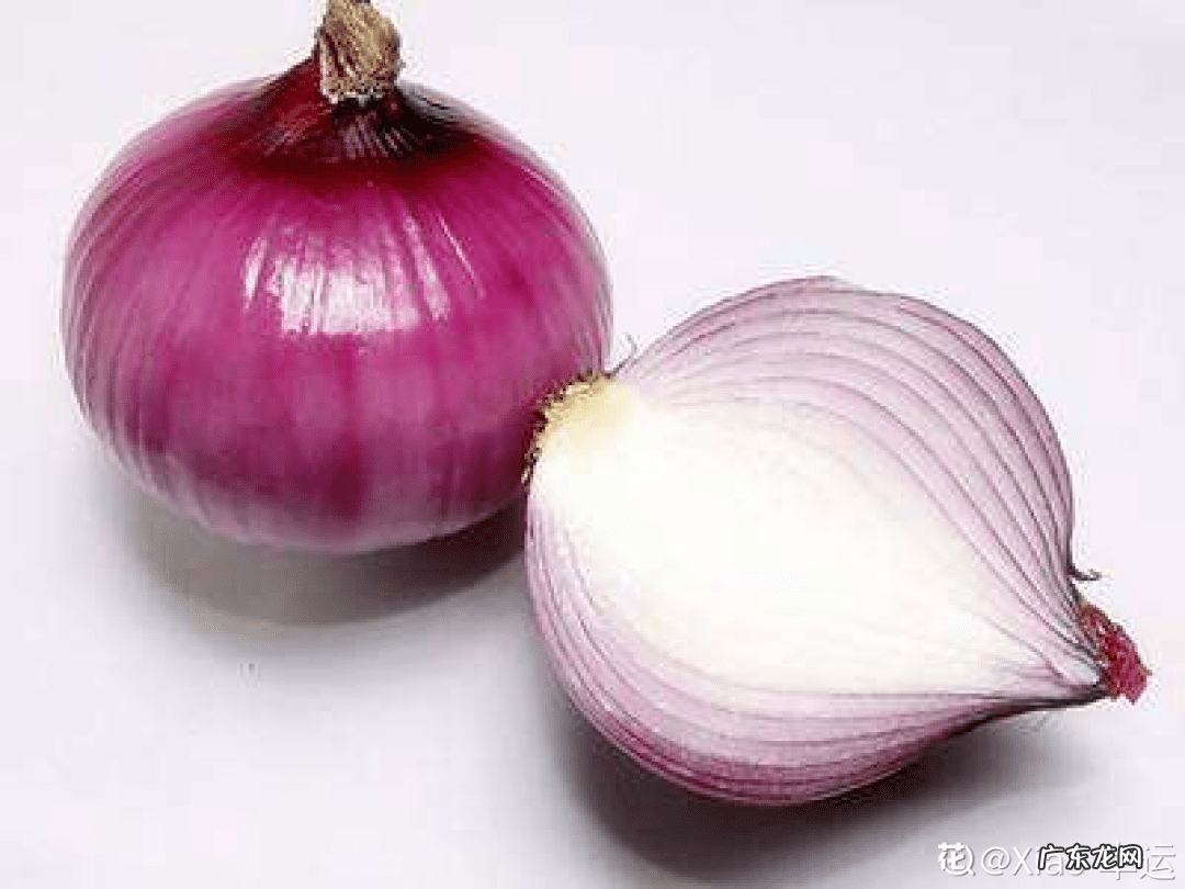 制作泡泡龙 最强蜗牛泡泡龙