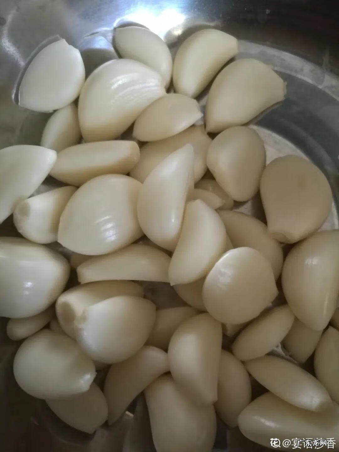 制作泡泡龙 最强蜗牛泡泡龙