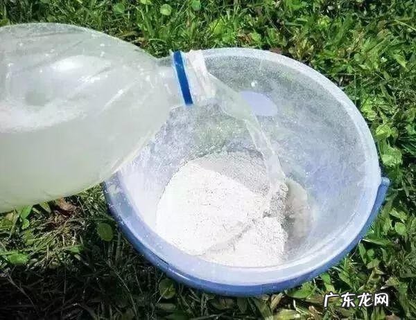 制作泡泡龙 最强蜗牛泡泡龙