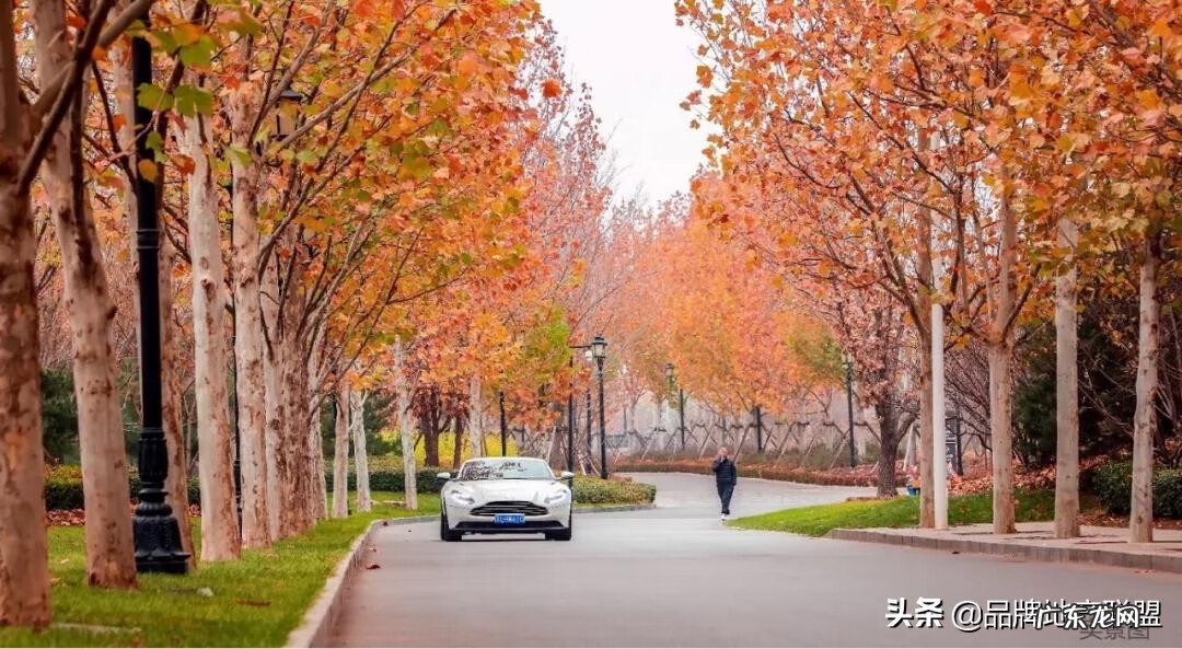 天行官网 天境 北京