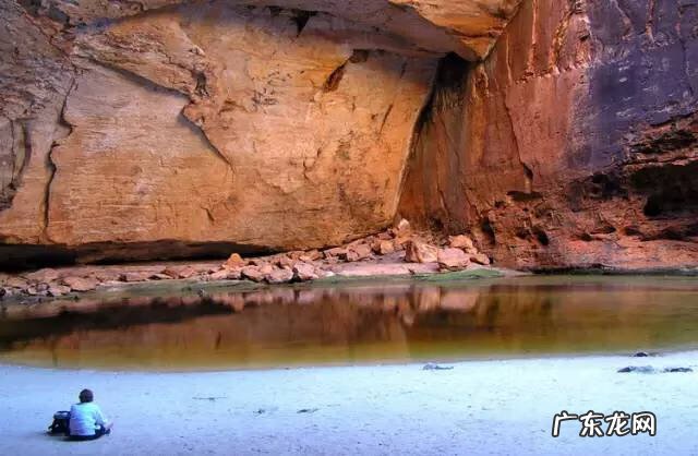 剑麻的花有什么特点 剑麻的风水