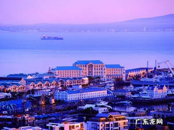 剑麻的花有什么特点 剑麻的风水