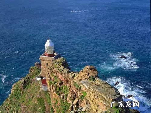 剑麻的花有什么特点 剑麻的风水