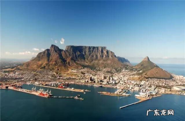 剑麻的花有什么特点 剑麻的风水