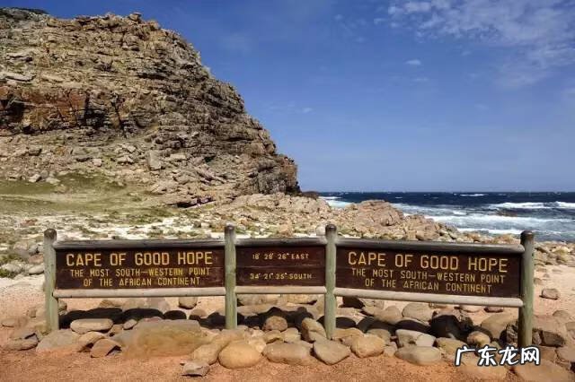 剑麻的花有什么特点 剑麻的风水