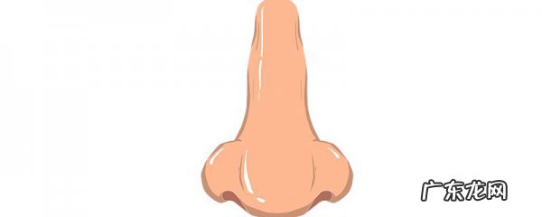 怎么测量鼻梁尺寸大小,鼻子看尺寸