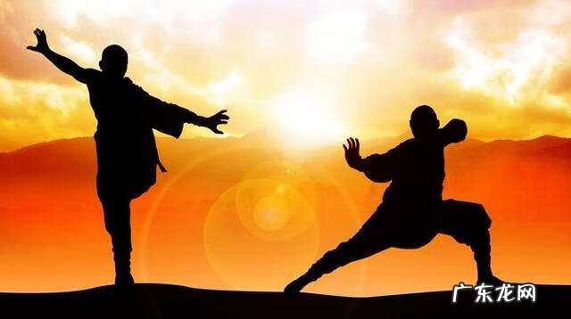 死或生致命格斗 致命格斗术