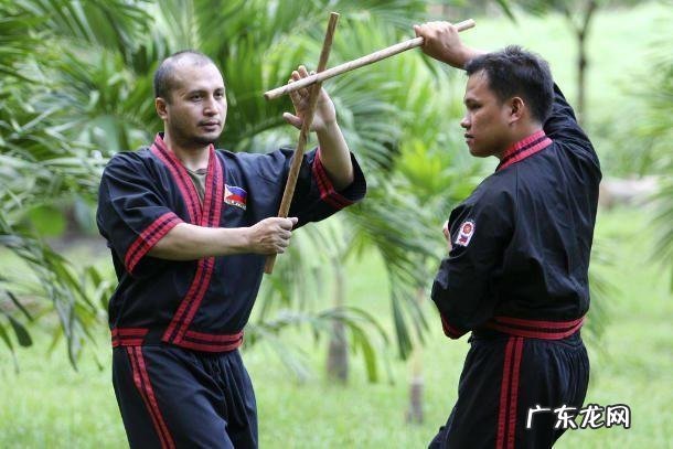 死或生致命格斗 致命格斗术