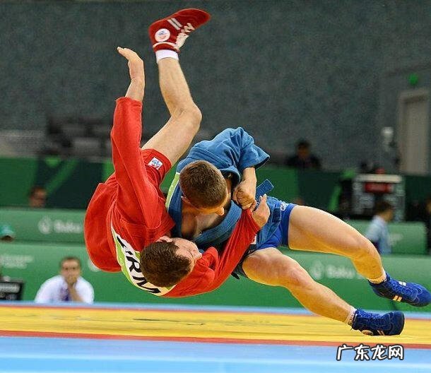 死或生致命格斗 致命格斗术