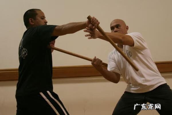 死或生致命格斗 致命格斗术