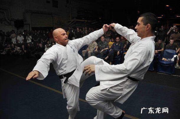 死或生致命格斗 致命格斗术