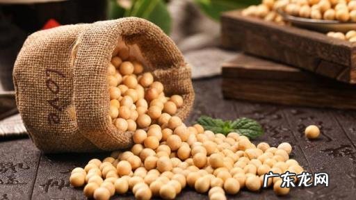 大豆图片大全大图 实物图片,大豆类图片大全