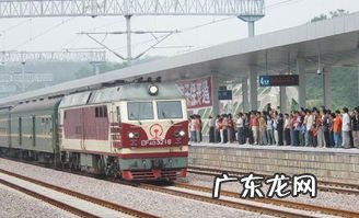 火车带动物怎么托运 高铁托运宠物价格表